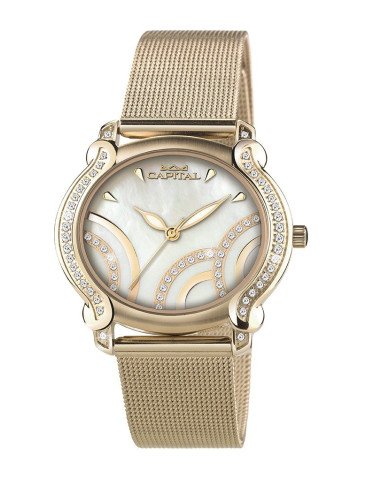 Capital Orologi Collezione Milano Donna AX8101