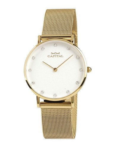 Capital Orologi Collezione London Donna AX167-2