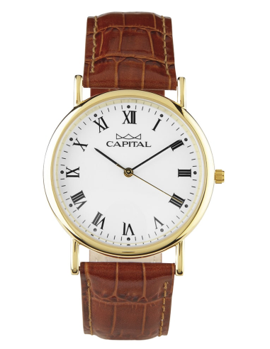 Capital Orologi Collezione Daily Donna AX286-02