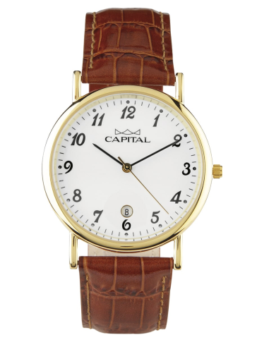 Capital Orologi Collezione Daily Uomo AX279-01