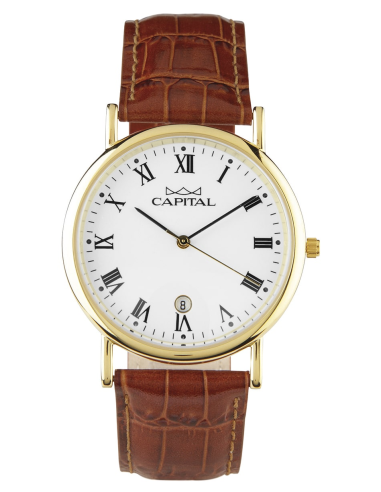 Capital Orologi Collezione Daily Uomo AX279-02