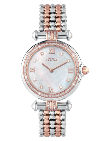 Capital Orologi Collezione New York Donna AX8121