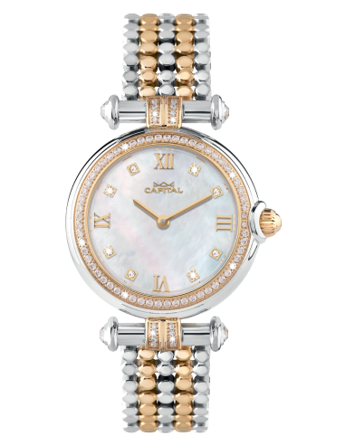 Capital Orologi Collezione New York Donna AX8120