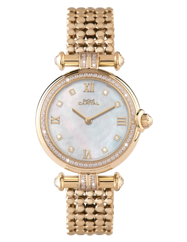 Capital Orologi Collezione New York Donna AX8123