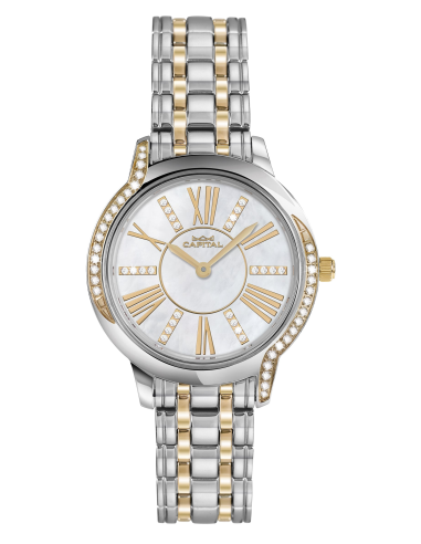 Capital Orologi Collezione New York Donna AX8023