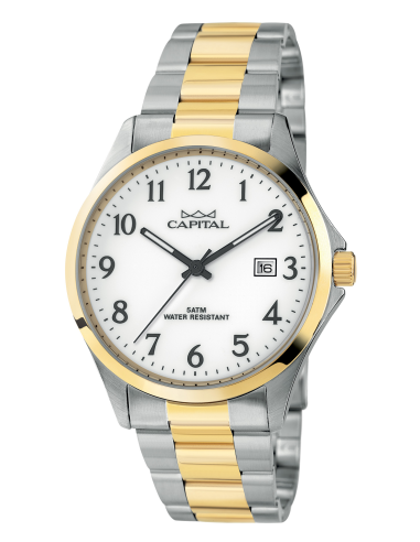 Capital Orologi Collezione Daily Uomo AX235-01