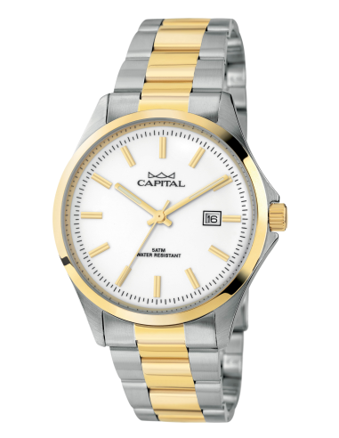 Capital Orologi Collezione Daily Uomo AX235-02