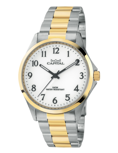 Capital Orologi Collezione Daily Uomo AX227-01